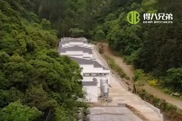 ãFlüssigfütterungssystemãAnhui Huangshan 400 Sauenfarm