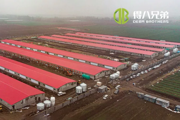 ãFull-Line-ProjektãShandong Zhucheng4800 Sauenfarm