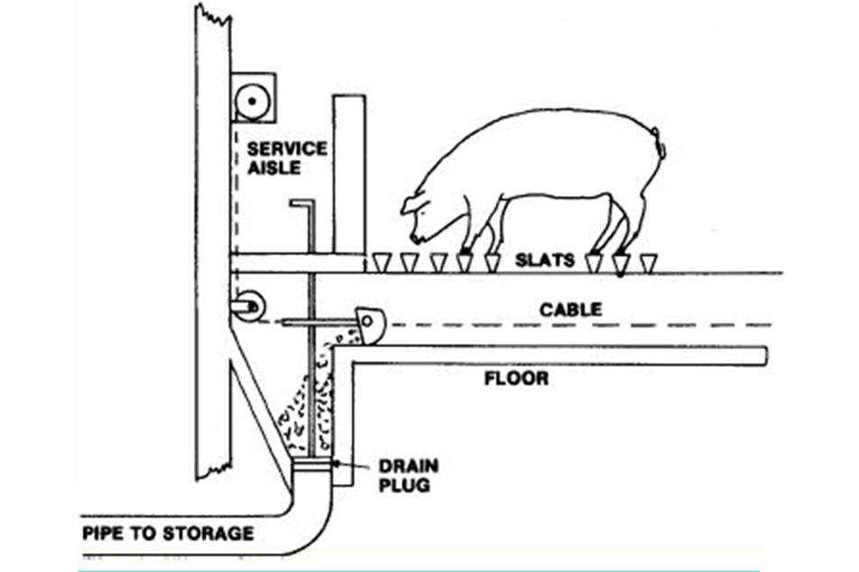 Revolutionieren Sie Ihren Schweinefarm mit einem hochwertigen Schweinegülle-Schabersystem