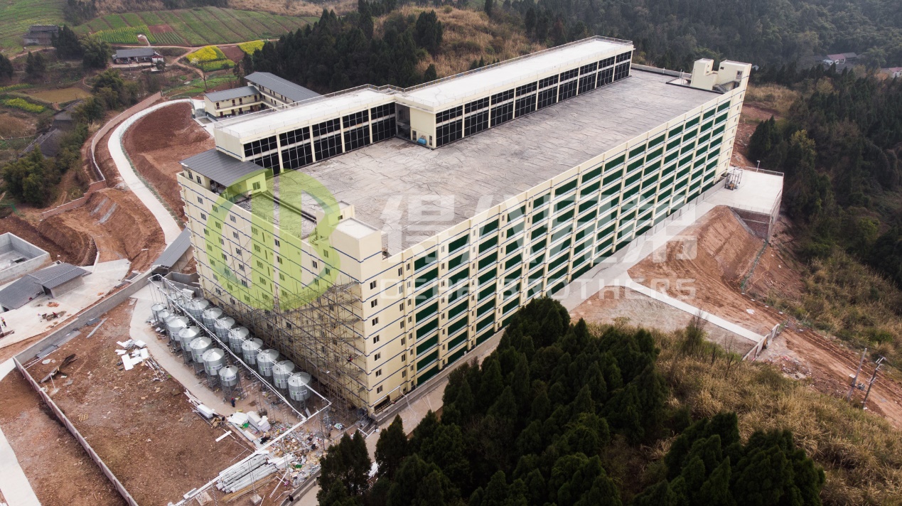 Wie man die Umweltqualität im modernen Schweinefarmdesign verbessert